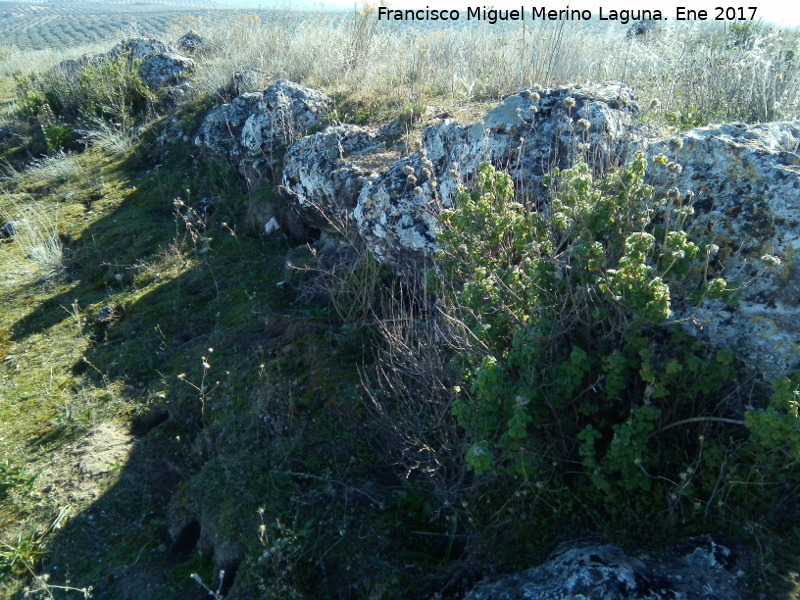 Fortn ibero romano de Piedras de Cuca - Fortn ibero romano de Piedras de Cuca. Muralla