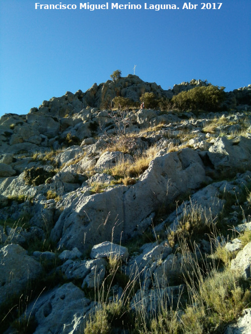 Cerro de la Vieja - Cerro de la Vieja. 