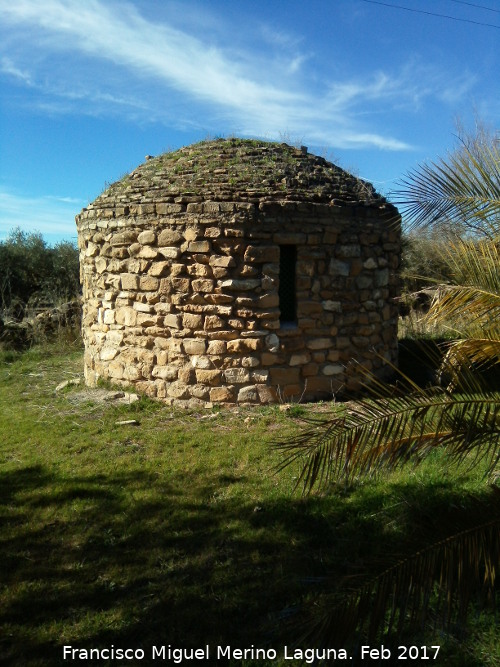 Caracol del Paso - Caracol del Paso. 