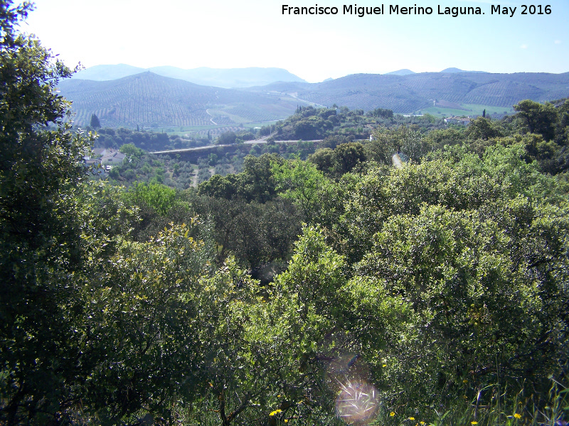 Cerro del Camello - Cerro del Camello. 