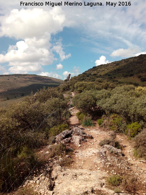 Cerro del Camello - Cerro del Camello. Hacia la Piedra de la Virgen del Camello