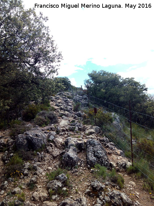 Cerro del Camello - Cerro del Camello. 