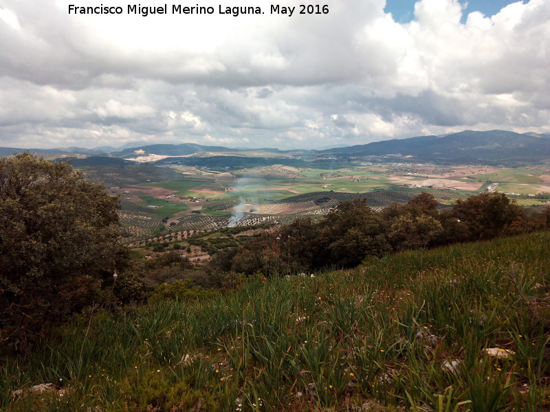 Cerro del Camello - Cerro del Camello. Vistas