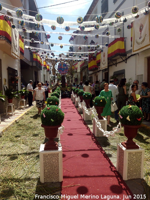 Corpus de Villardompardo - Corpus de Villardompardo. 