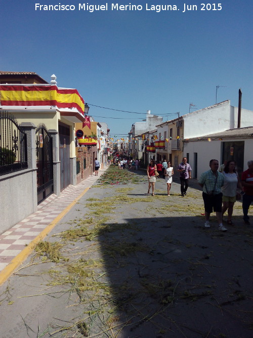 Calle Larga - Calle Larga. 