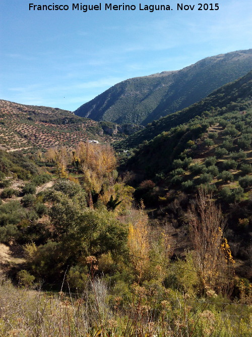 Ro Vboras - Ro Vboras. Barranco a la altura del Cortijo Bravos Bajos en Fuensanta de Martos