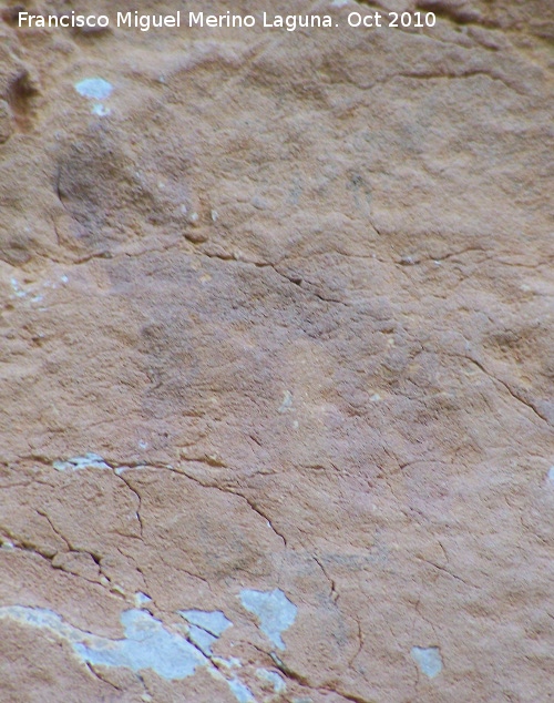Pinturas rupestres de la Cueva del Plato grupo I - Pinturas rupestres de la Cueva del Plato grupo I. Zooformos superiores