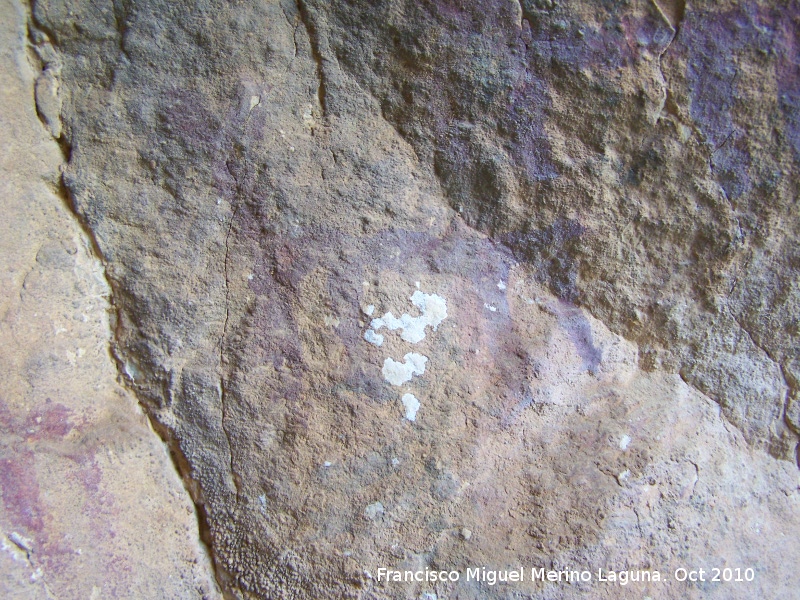 Pinturas rupestres de la Cueva del Plato grupo II - Pinturas rupestres de la Cueva del Plato grupo II. Zooformo