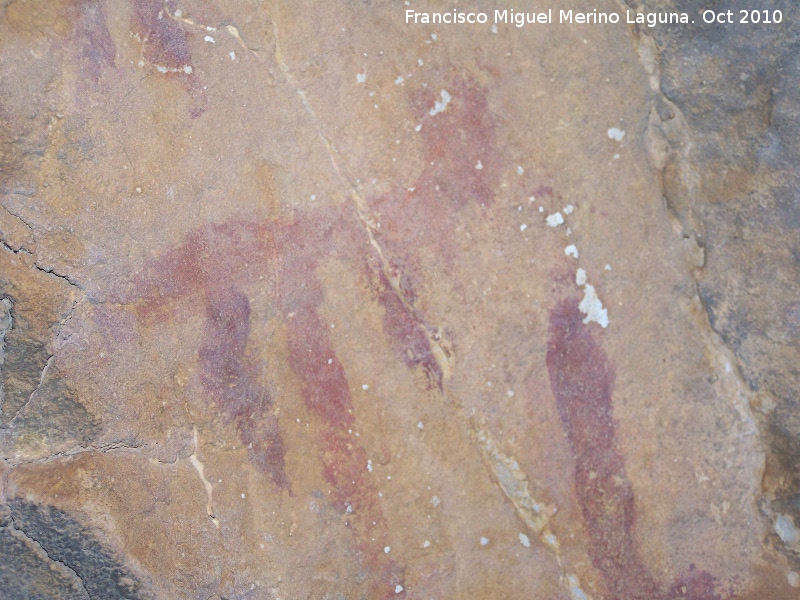 Pinturas rupestres de la Cueva del Plato grupo II - Pinturas rupestres de la Cueva del Plato grupo II. Zooformo de la pared de la izquierda