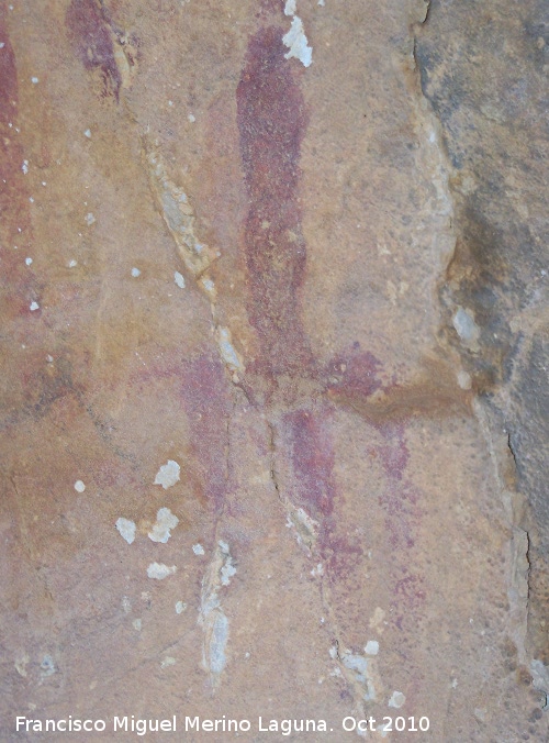 Pinturas rupestres de la Cueva del Plato grupo II - Pinturas rupestres de la Cueva del Plato grupo II. Tridente