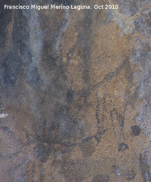 Pinturas rupestres de la Cueva del Plato grupo III - Pinturas rupestres de la Cueva del Plato grupo III. Zigzag al lado del ojo