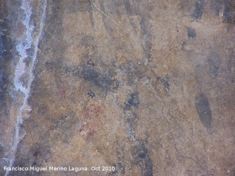 Pinturas rupestres de la Cueva del Plato grupo III - Pinturas rupestres de la Cueva del Plato grupo III. Pinturas negras y rojas