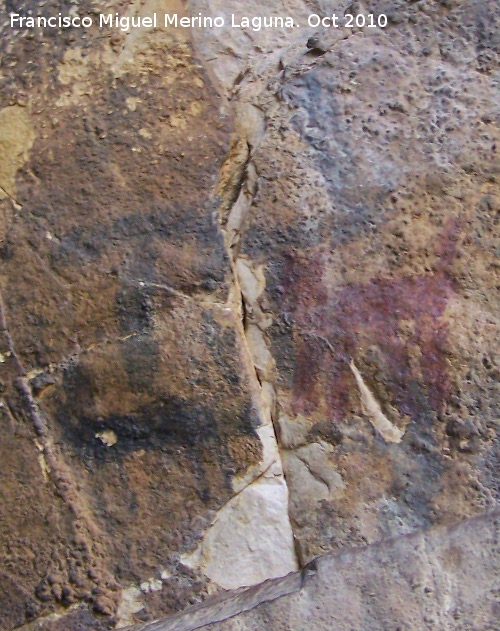 Pinturas rupestres de la Cueva del Plato grupo IV - Pinturas rupestres de la Cueva del Plato grupo IV. Cabra y zooformos