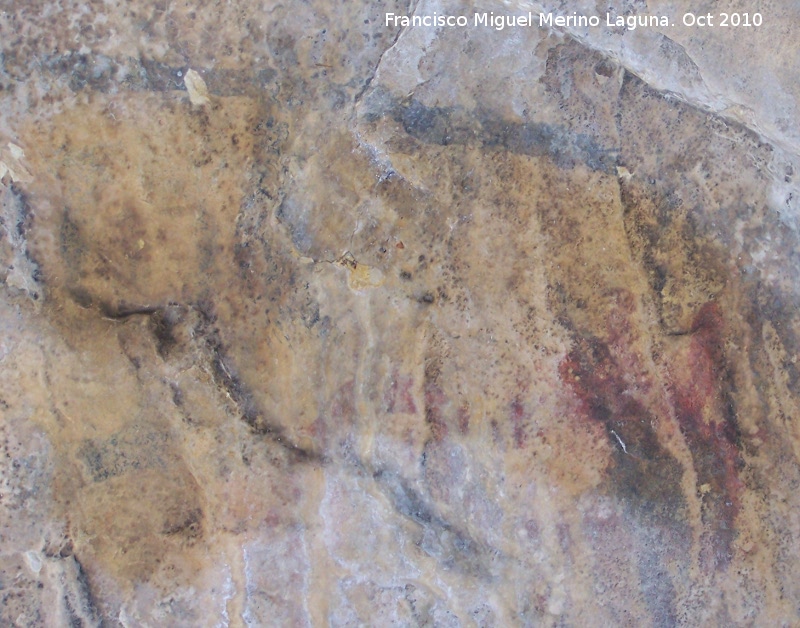 Pinturas rupestres de la Cueva del Plato grupo IV - Pinturas rupestres de la Cueva del Plato grupo IV. Pinturas de la parte derecha