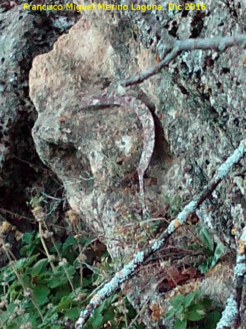 Tajos de San Marcos - Tajos de San Marcos. Antigua hoz