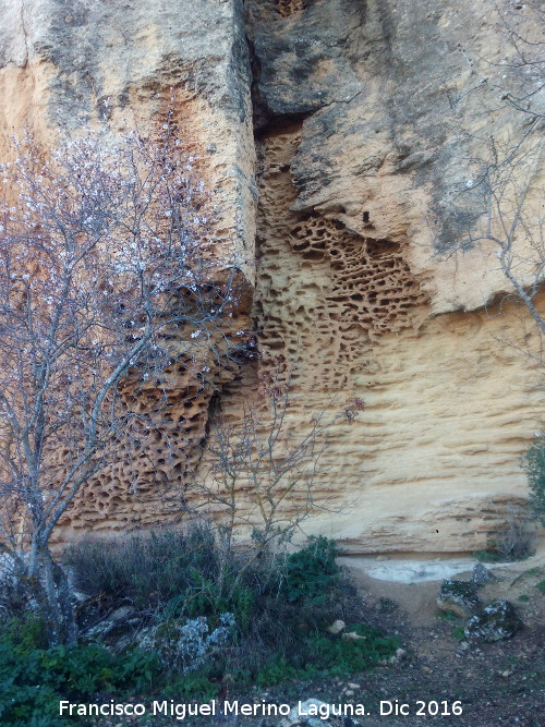 Tajos de San Marcos - Tajos de San Marcos. Erosin alveolar