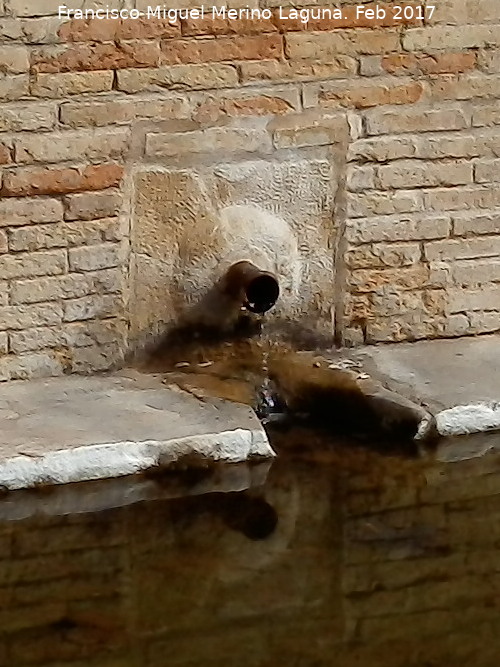 Fuente de la Mandrona - Fuente de la Mandrona. Cao