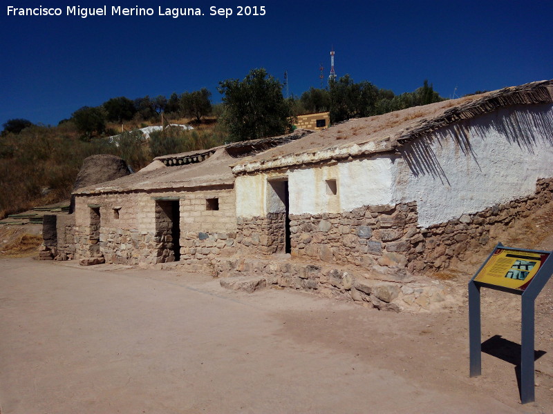 Oppidum del Cerro de la Cruz - Oppidum del Cerro de la Cruz. Casas iberas reconstruidas