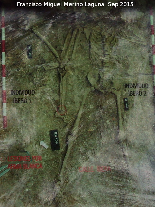 Oppidum del Cerro de la Cruz - Oppidum del Cerro de la Cruz. Muertos iberos encontrados en una calle muertos a espada