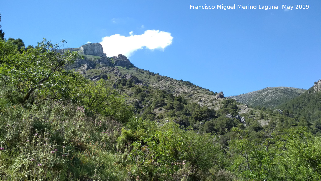 Cerro Pea Blanca - Cerro Pea Blanca. Desde el Barranco de la Tinaja