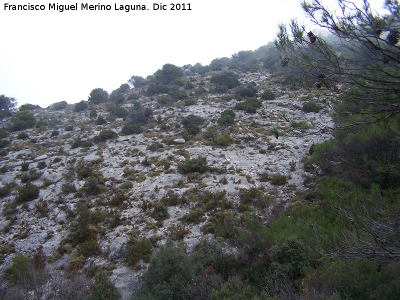 Cerro Cagasebo - Cerro Cagasebo. Ladera rocosa