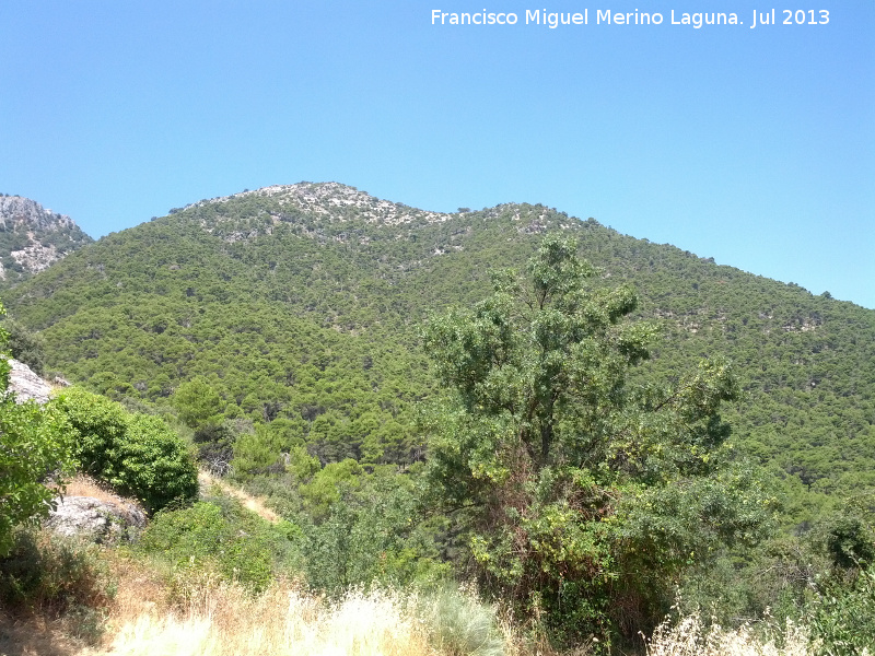 Cerro Cagasebo - Cerro Cagasebo. Desde Castaeda