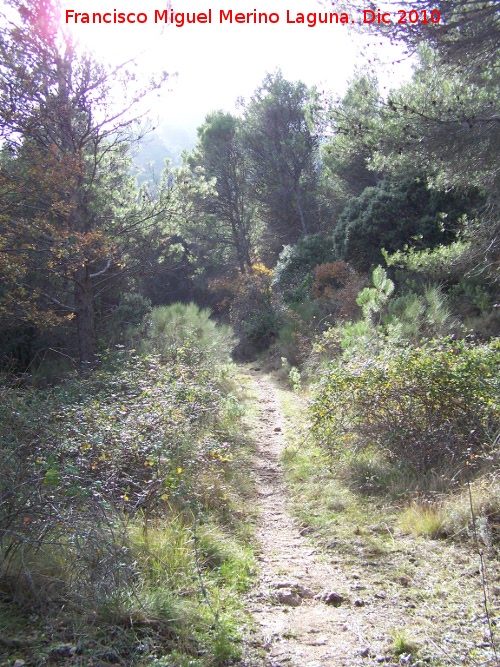 Senda de la Hoya del Cao - Senda de la Hoya del Cao. 