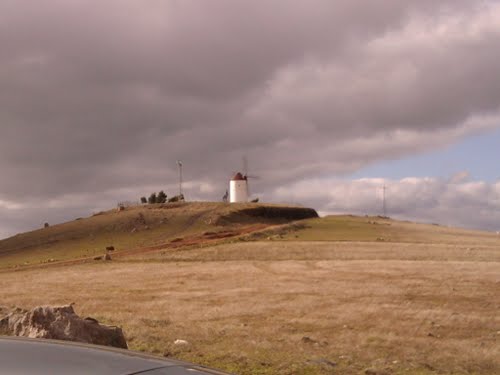 Molino - Molino. 