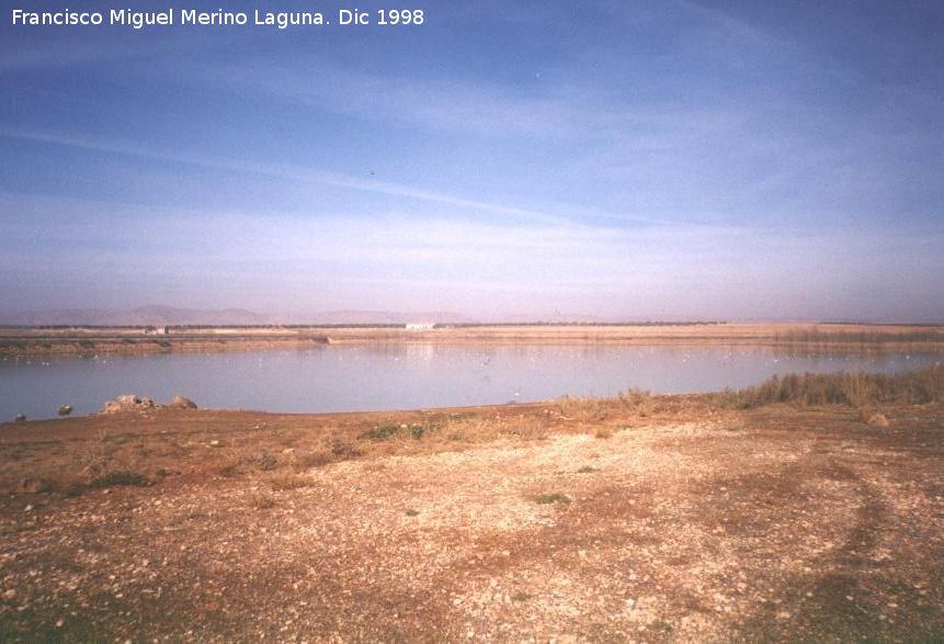 Pantano de Pearroya - Pantano de Pearroya. 