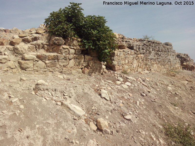 Castillo de Torreparedones - Castillo de Torreparedones. Muralla