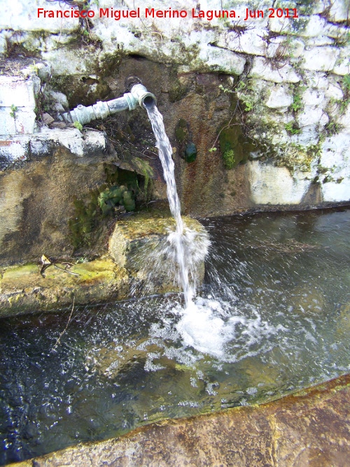 Fuente de Fuencaliente - Fuente de Fuencaliente. Cao