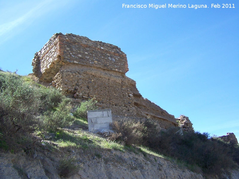 Castillo de Tabernas - Castillo de Tabernas. 