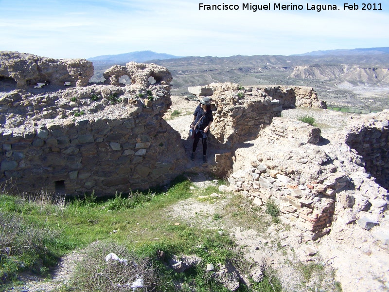 Castillo de Tabernas - Castillo de Tabernas. 