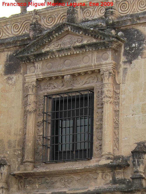 Palacio de Orive - Palacio de Orive. Ventana