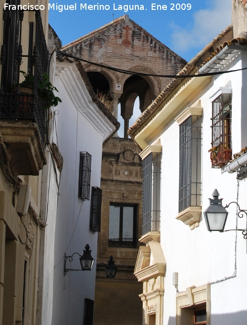 Palacio de Orive - Palacio de Orive. Lateral