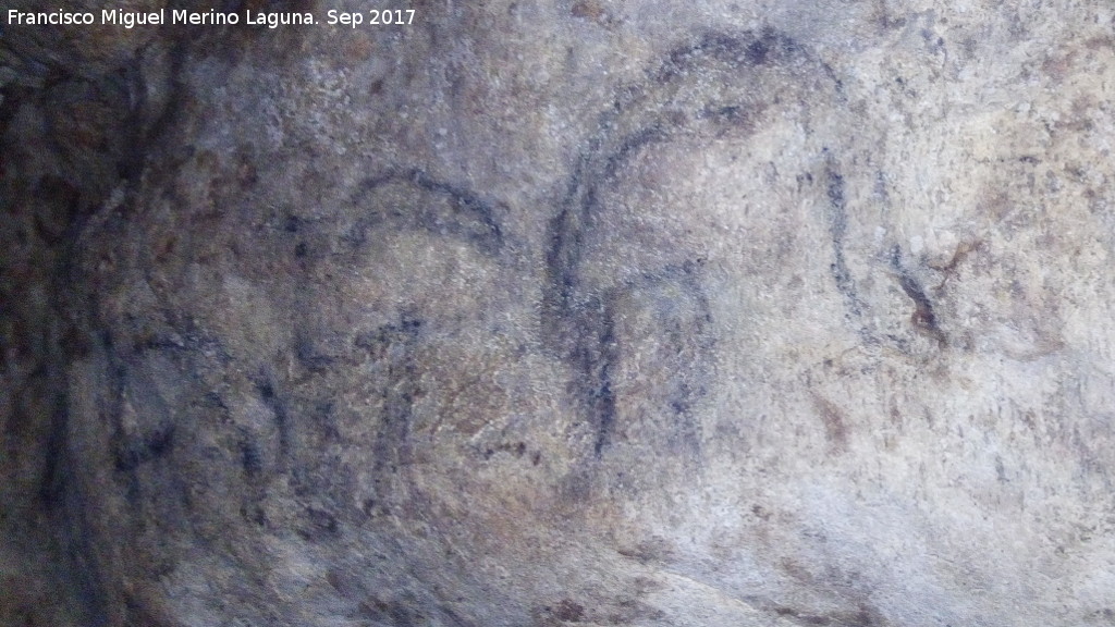 Pinturas rupestres de la Cueva de los Murcilagos - Pinturas rupestres de la Cueva de los Murcilagos. Cabras