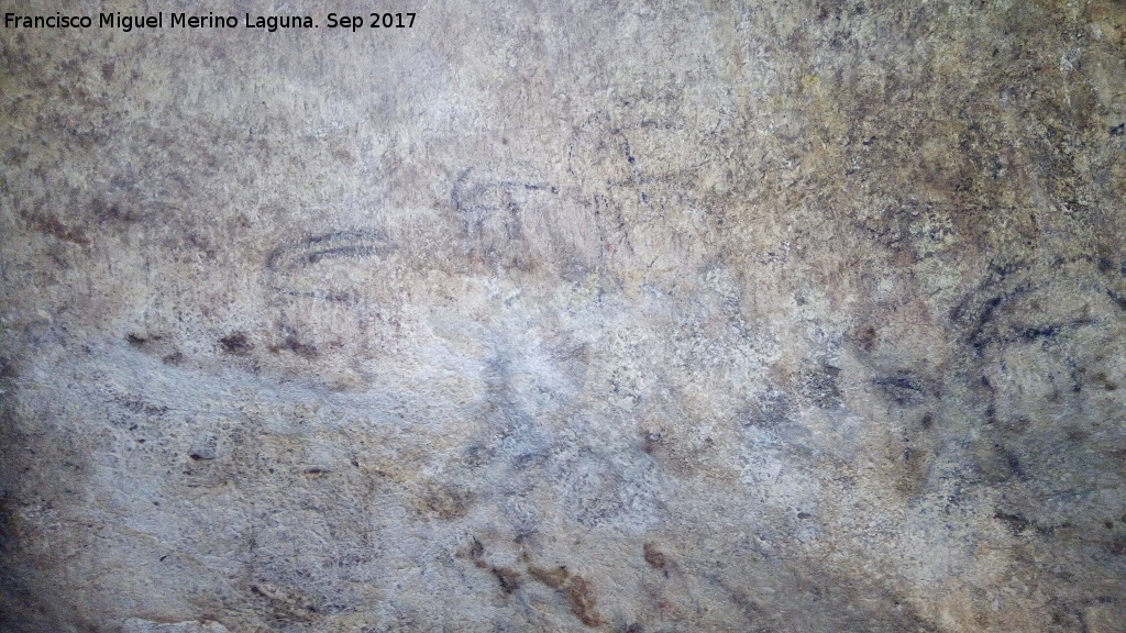 Pinturas rupestres de la Cueva de los Murcilagos - Pinturas rupestres de la Cueva de los Murcilagos. Panel de las Cabras