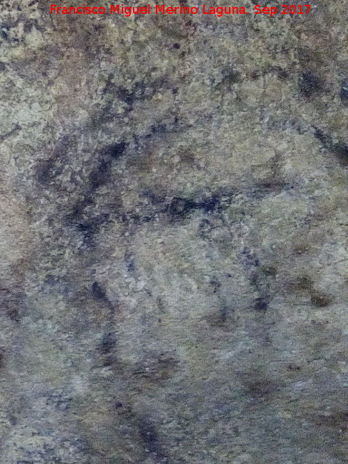 Pinturas rupestres de la Cueva de los Murcilagos - Pinturas rupestres de la Cueva de los Murcilagos. Cabra
