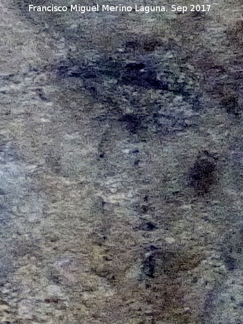 Pinturas rupestres de la Cueva de los Murcilagos - Pinturas rupestres de la Cueva de los Murcilagos. Restos en negro
