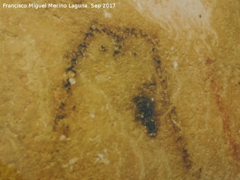 Pinturas rupestres de la Cueva de los Murcilagos - Pinturas rupestres de la Cueva de los Murcilagos. dolo oculado