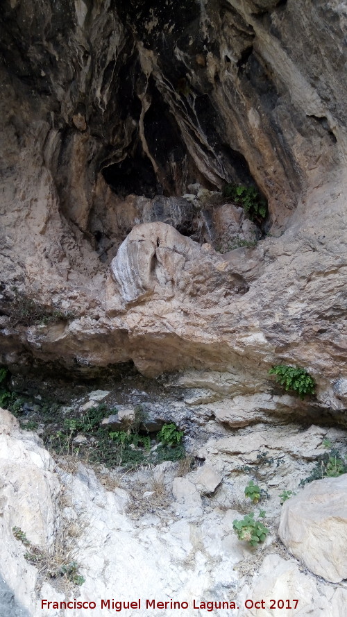 Can del Ro Bailn - Can del Ro Bailn. Abrigo alto del margen izquierdo antes de la Cueva del Fraile