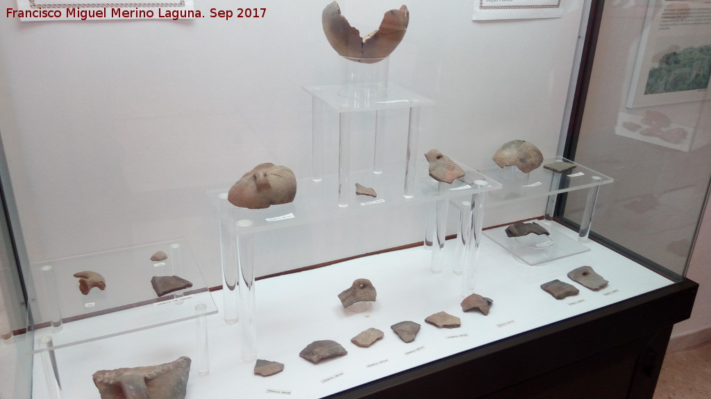 Museo Histrico de Zuheros - Museo Histrico de Zuheros. Vitrina