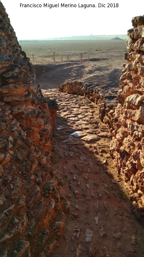 Motilla del Azuer - Motilla del Azuer. Camino de entrada