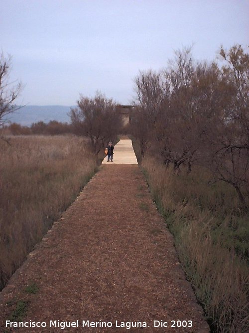 Parque Nacional de Las Tablas de Daimiel - Parque Nacional de Las Tablas de Daimiel. 