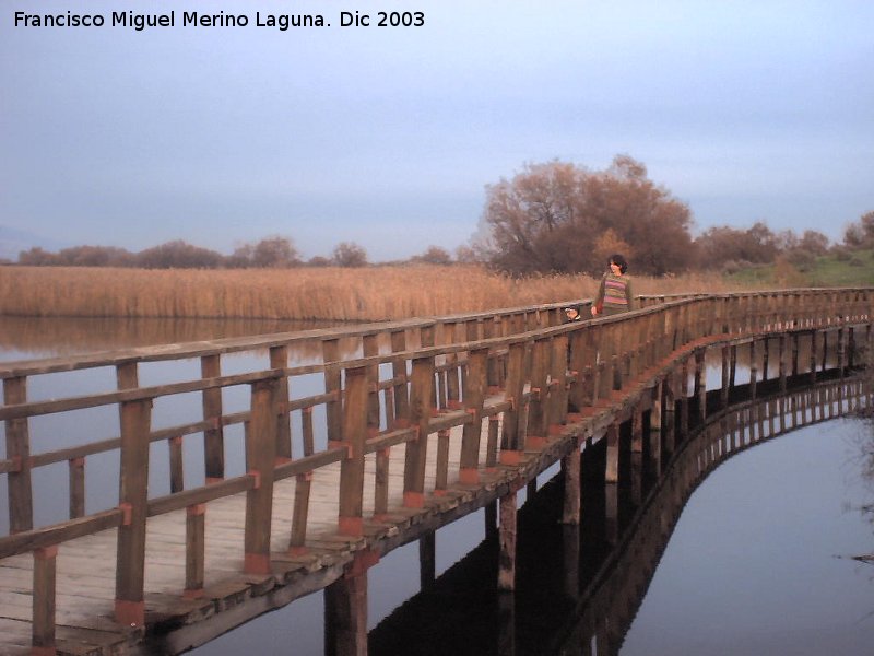 Parque Nacional de Las Tablas de Daimiel - Parque Nacional de Las Tablas de Daimiel. 