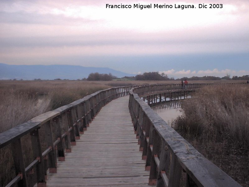 Parque Nacional de Las Tablas de Daimiel - Parque Nacional de Las Tablas de Daimiel. 