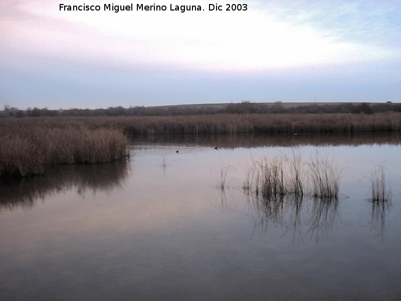 Parque Nacional de Las Tablas de Daimiel - Parque Nacional de Las Tablas de Daimiel. 