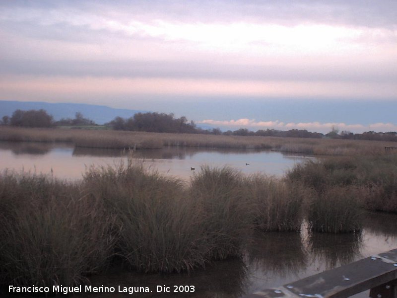 Parque Nacional de Las Tablas de Daimiel - Parque Nacional de Las Tablas de Daimiel. 