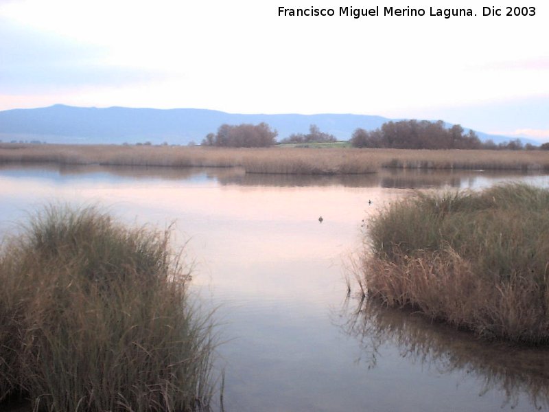 Parque Nacional de Las Tablas de Daimiel - Parque Nacional de Las Tablas de Daimiel. 