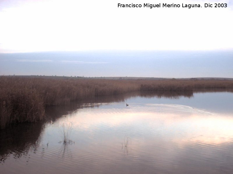 Parque Nacional de Las Tablas de Daimiel - Parque Nacional de Las Tablas de Daimiel. 